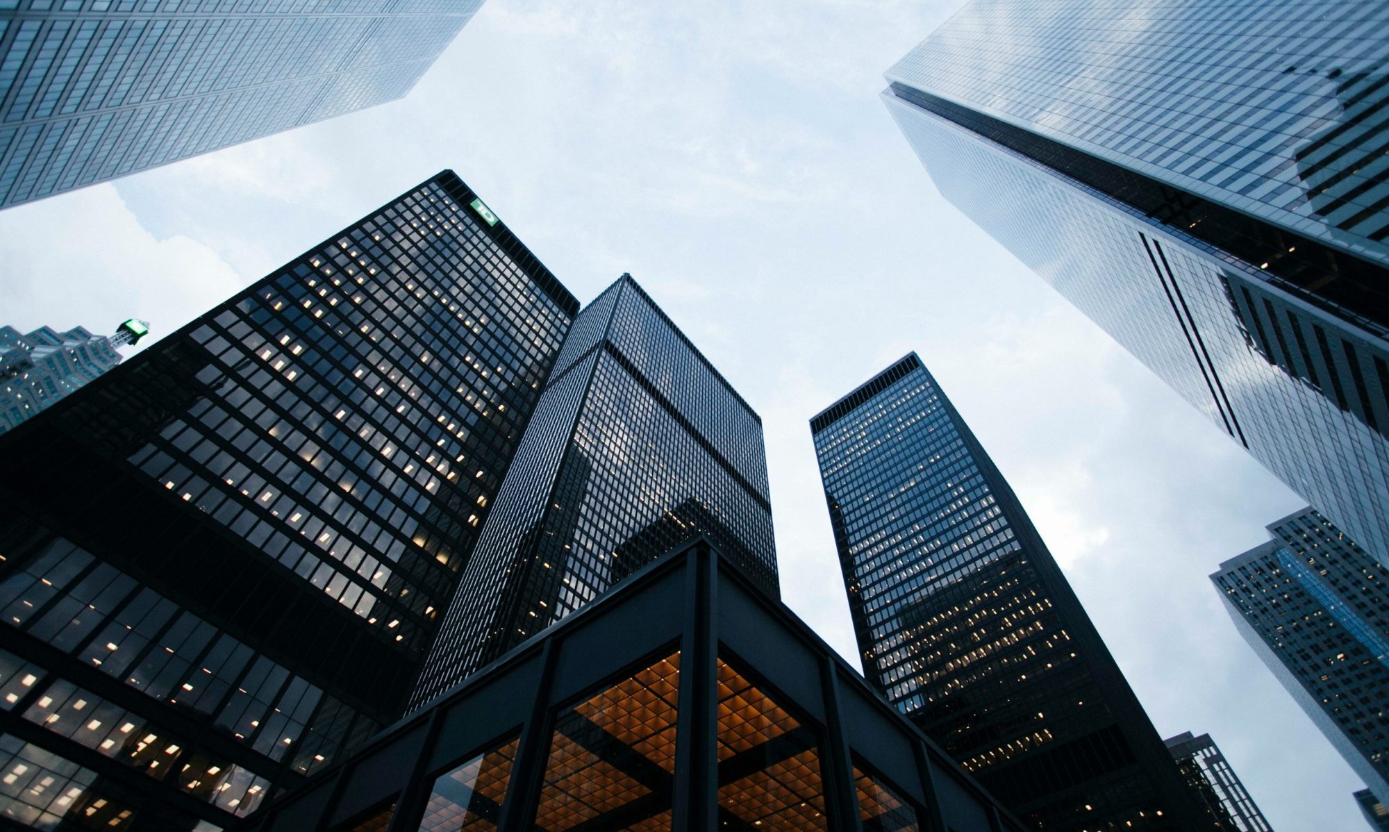 Matthew Wolf Capital Investment